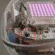 The Bolt also gains infra-red sensors allowing it to detect and react to the presence of other Bolt’s nearby.